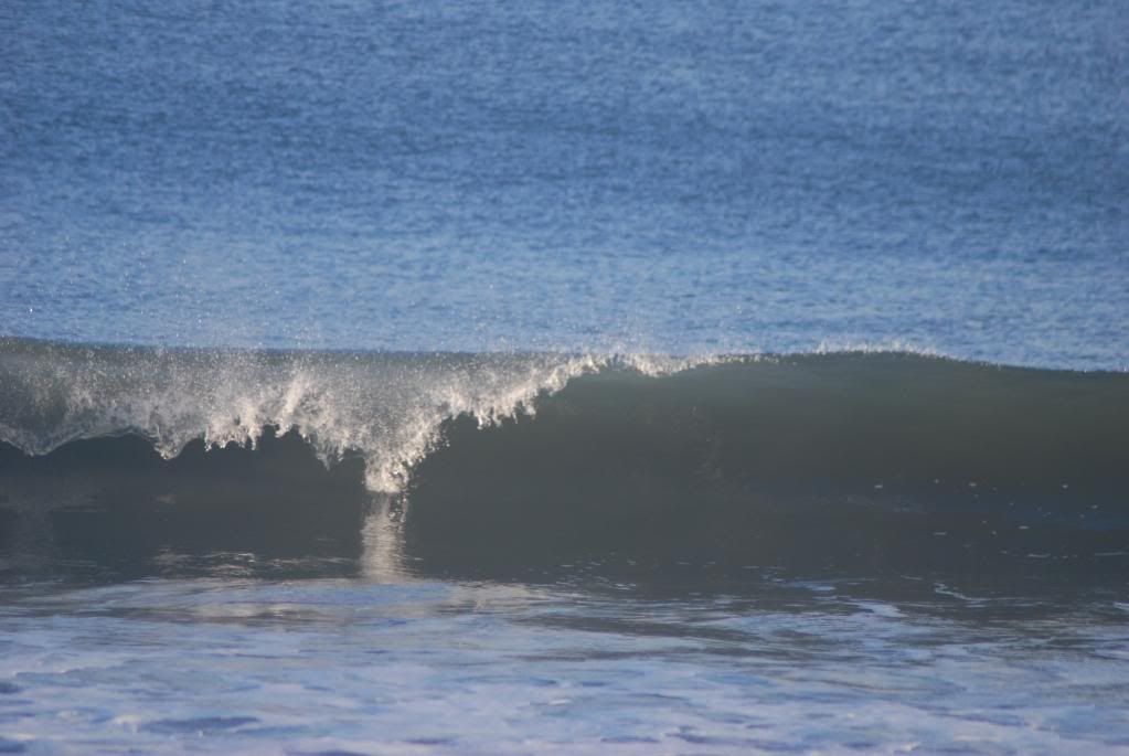 DSC_0286.jpg