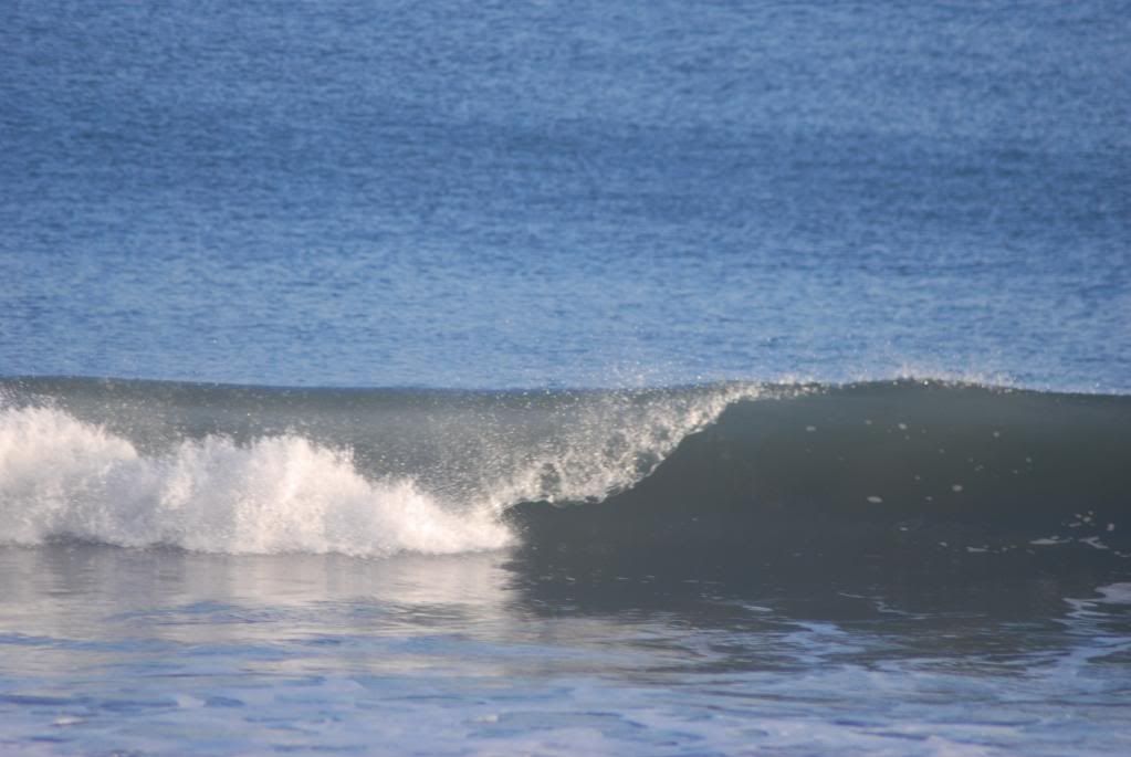 DSC_0287.jpg
