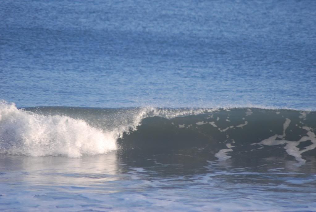 DSC_0288.jpg