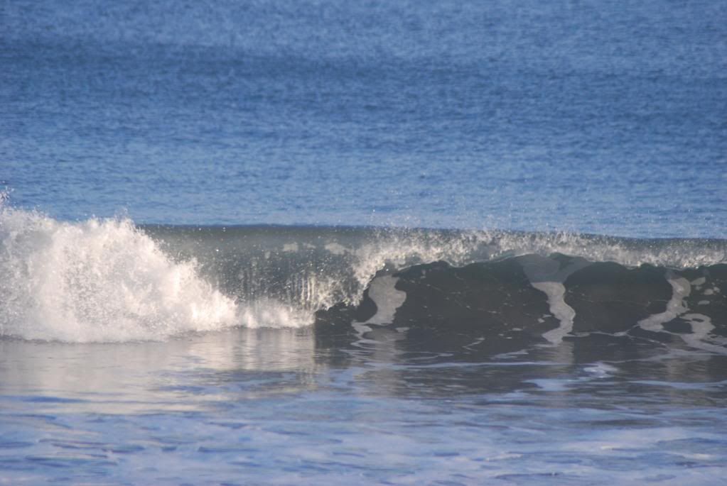 DSC_0289.jpg