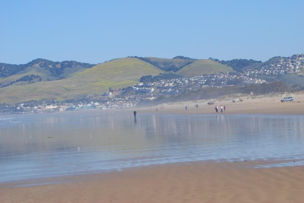 DSC_0529.jpg