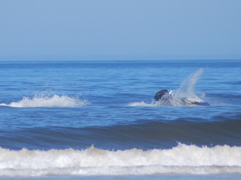 DSC_0780.jpg
