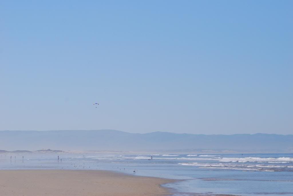 DSC_0814.jpg