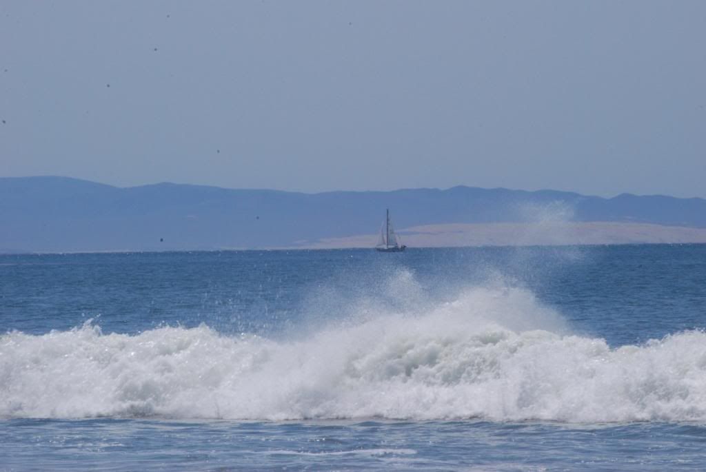 DSC_1351.jpg