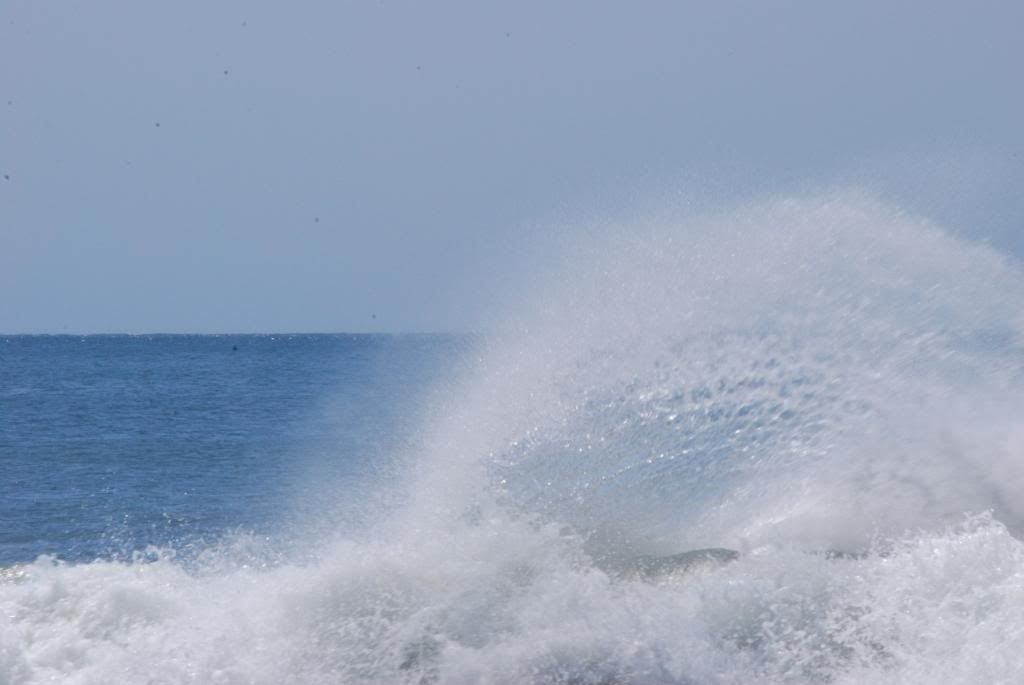DSC_1372.jpg
