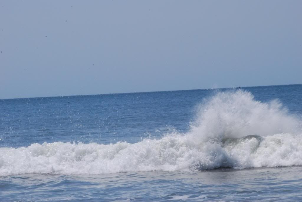 DSC_1433.jpg
