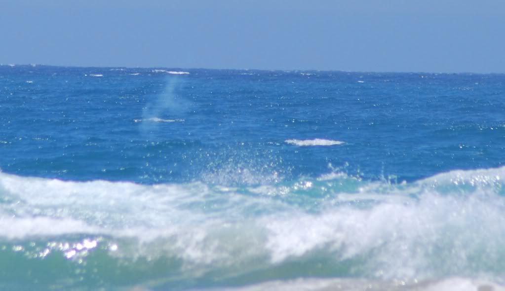 DSC_1726.jpg