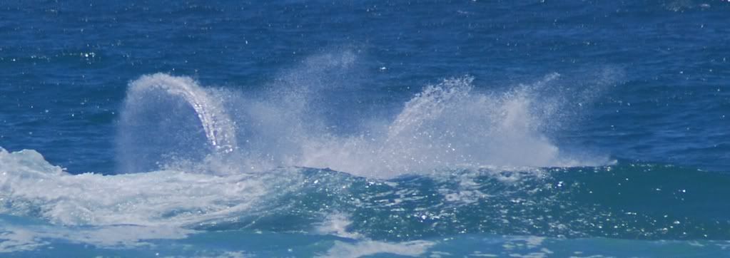 DSC_1742.jpg