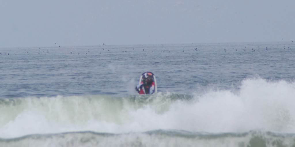 DSC_2518.jpg