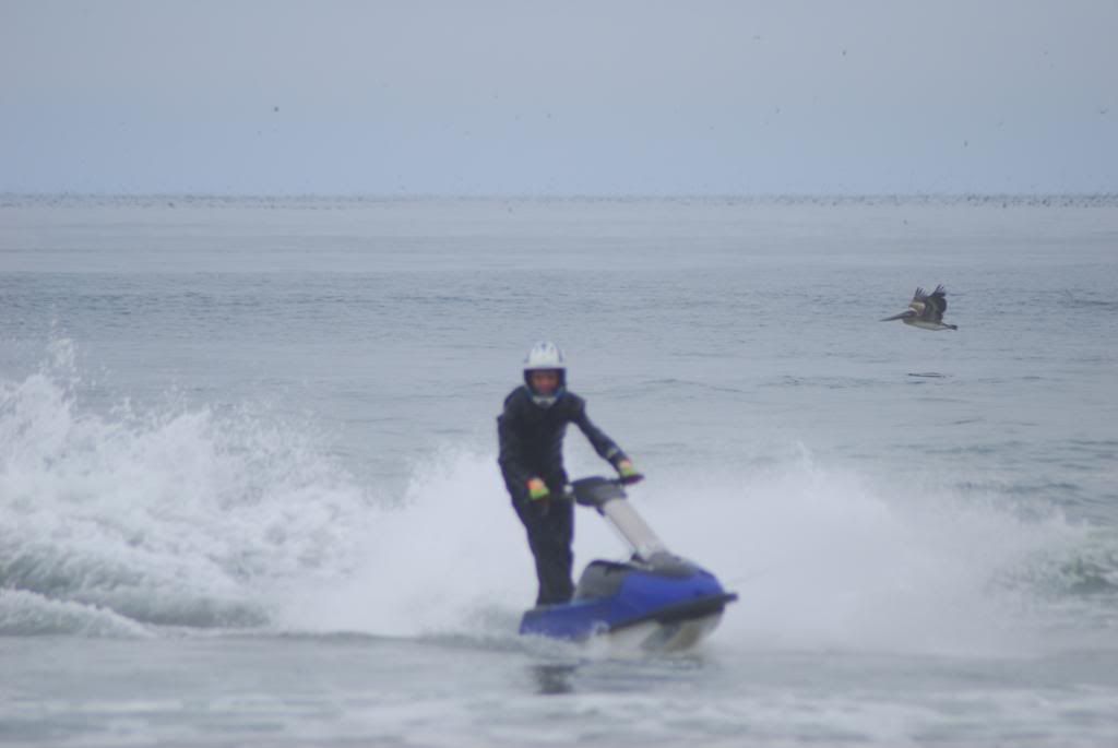 DSC_4125.jpg