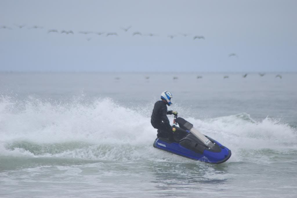 DSC_4197.jpg
