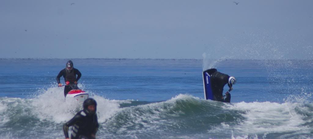 DSC_4377.jpg