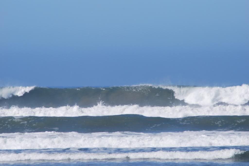 DSC_0008.jpg