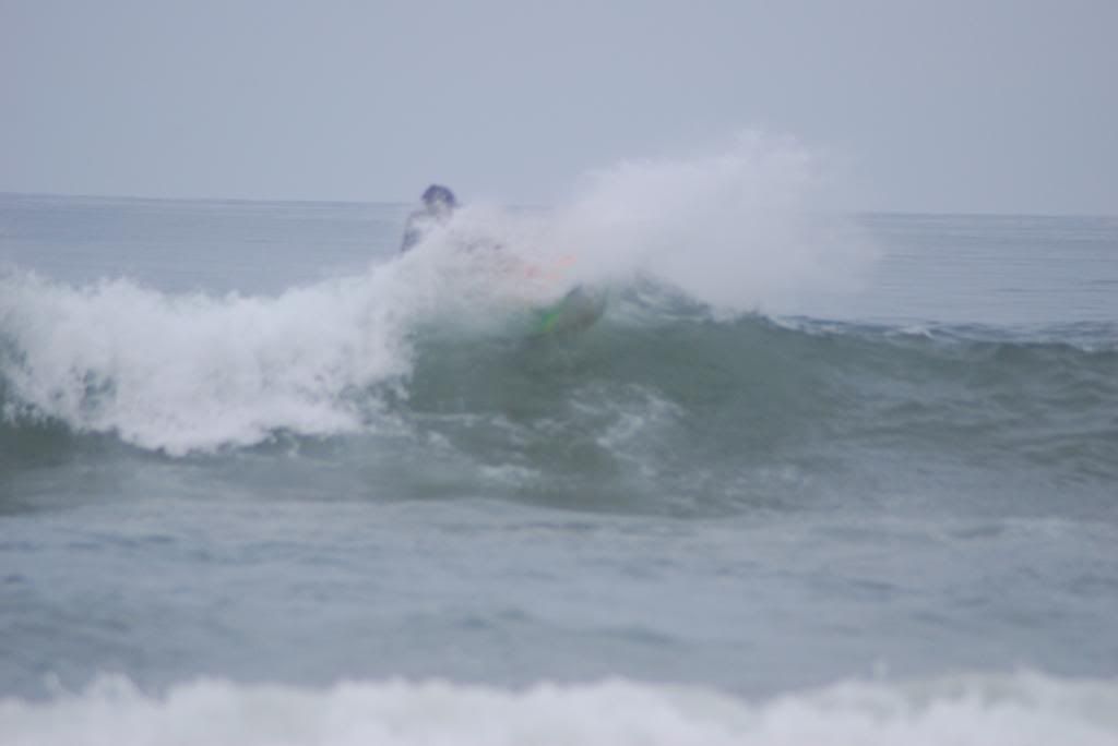DSC_4437.jpg