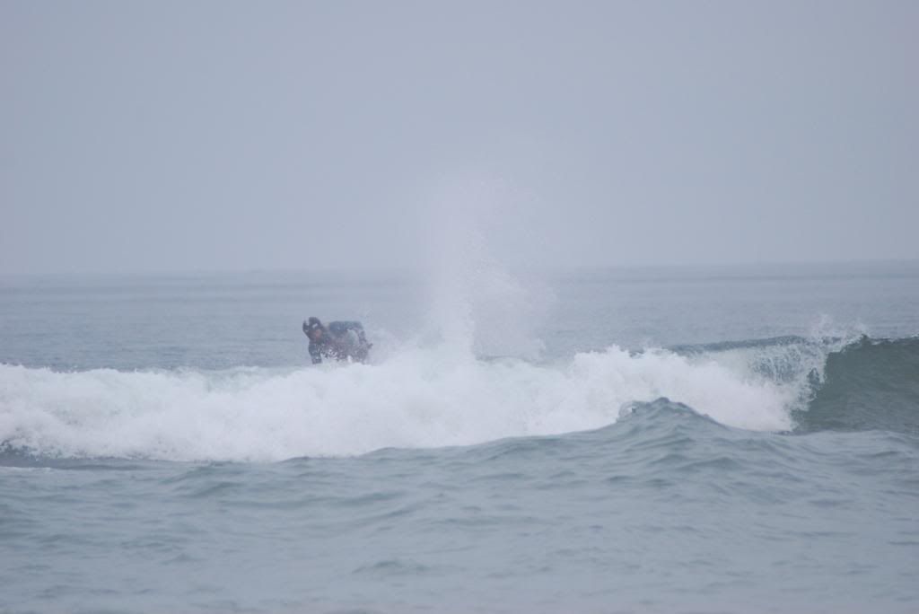 DSC_4455.jpg