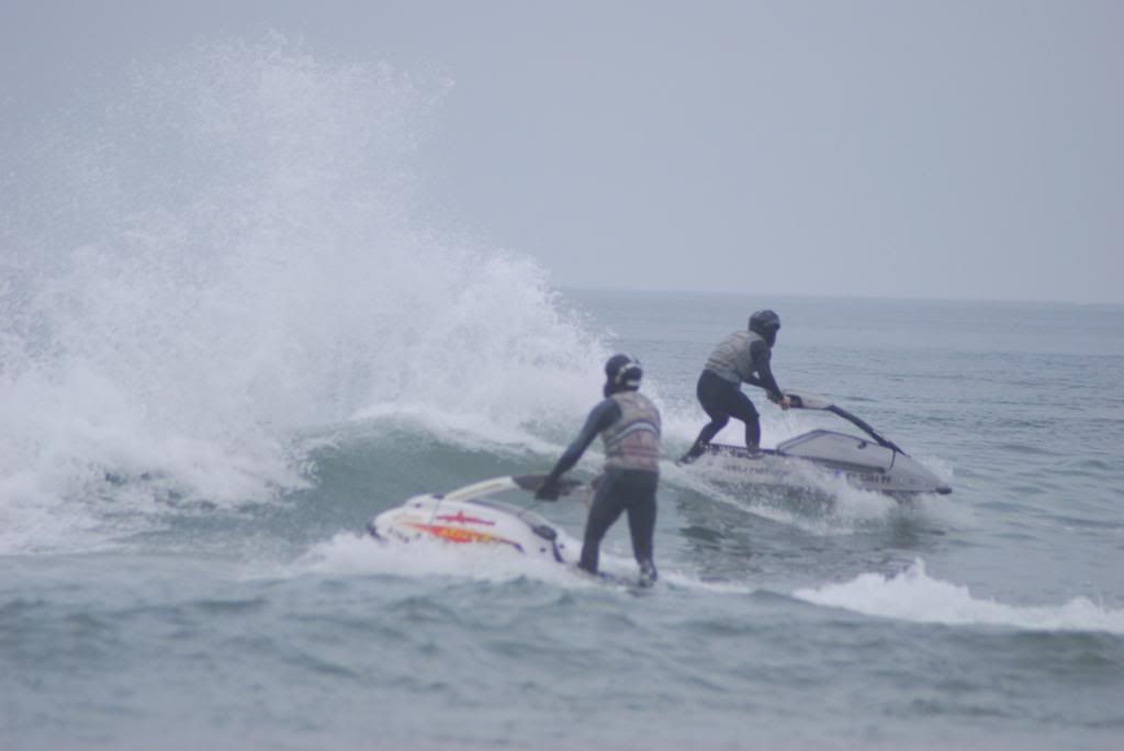 DSC_4459.jpg