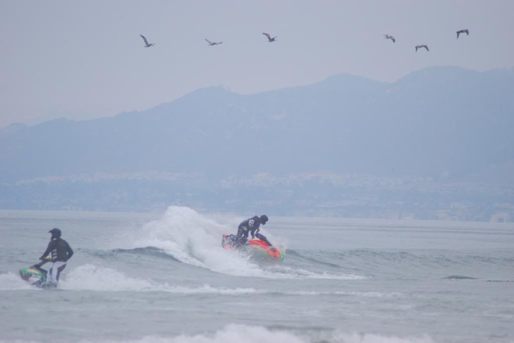 DSC_4468.jpg