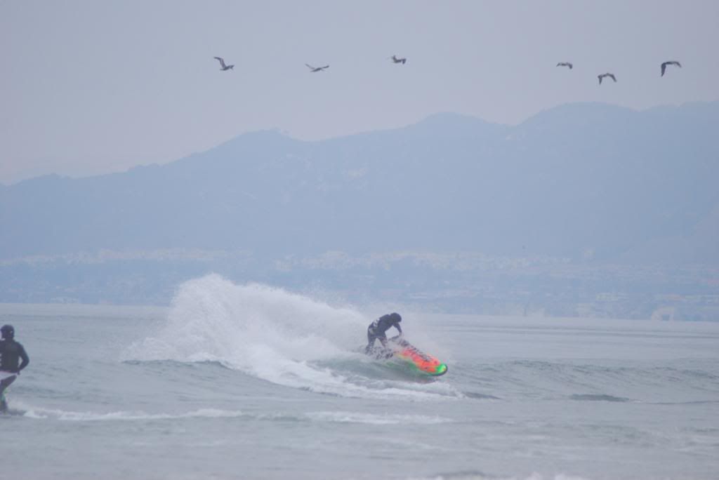 DSC_4469.jpg