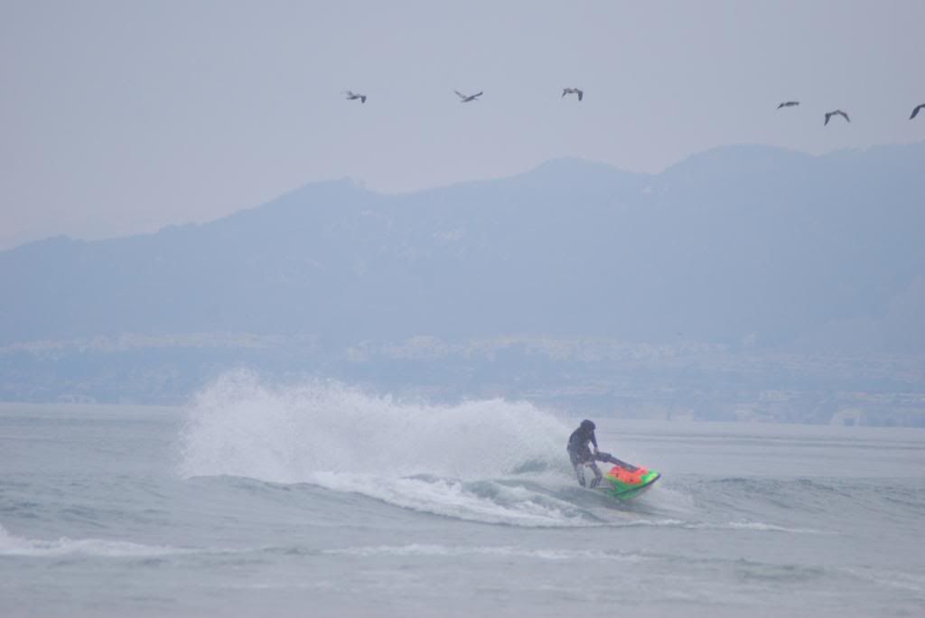 DSC_4470.jpg