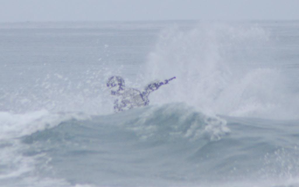 DSC_4512.jpg