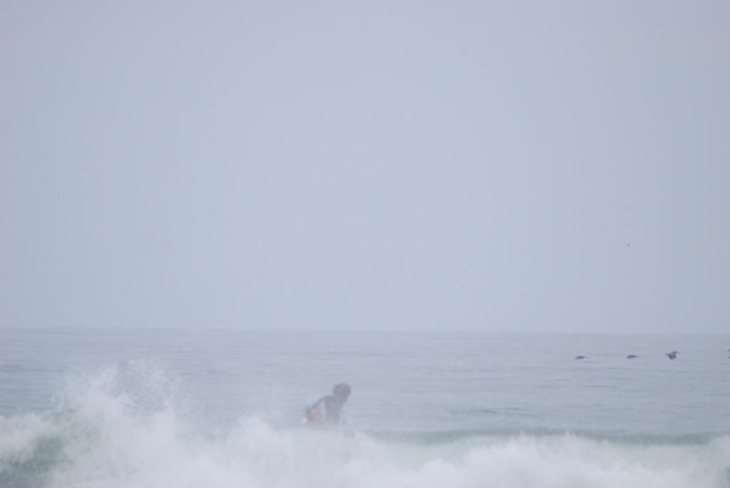 DSC_4606.jpg