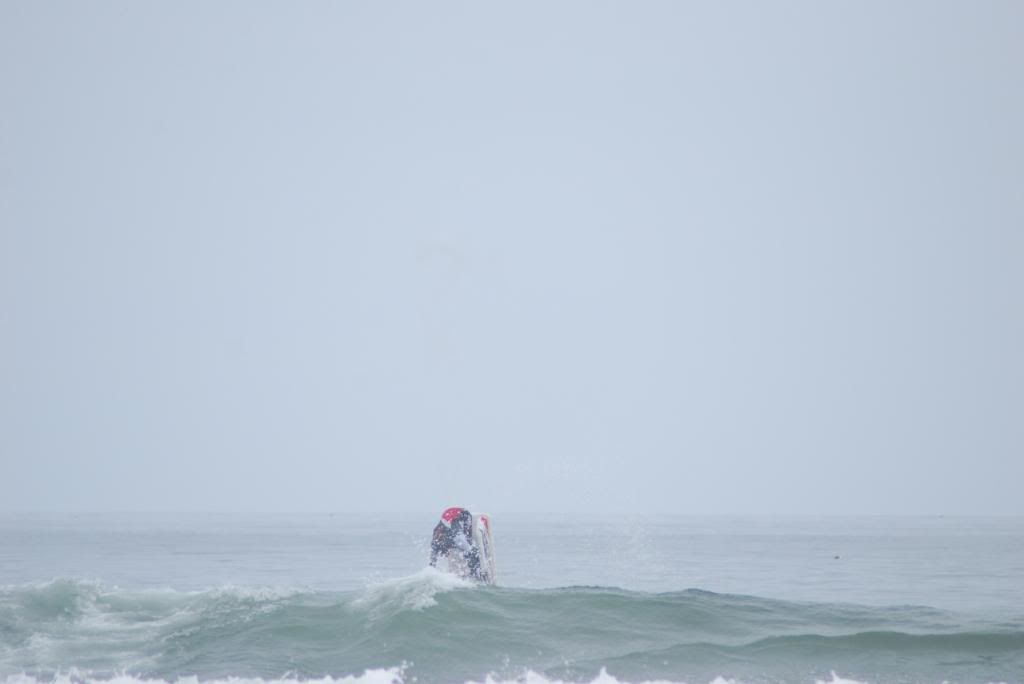 DSC_4668.jpg