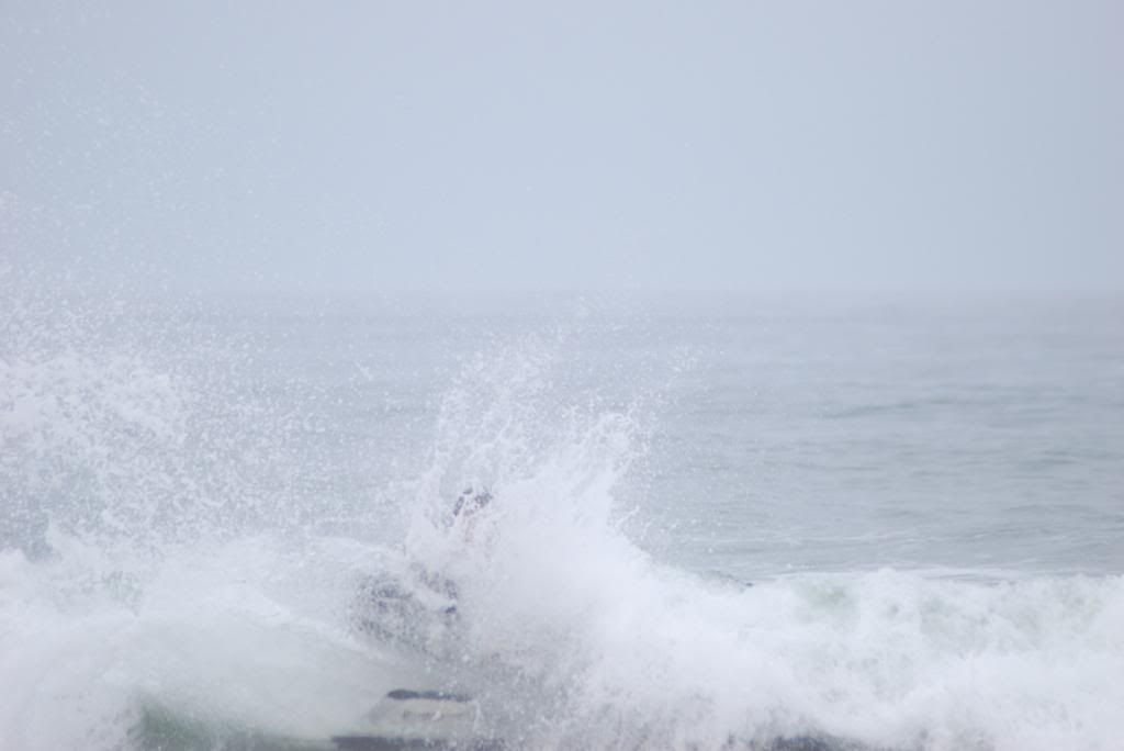 DSC_4725.jpg