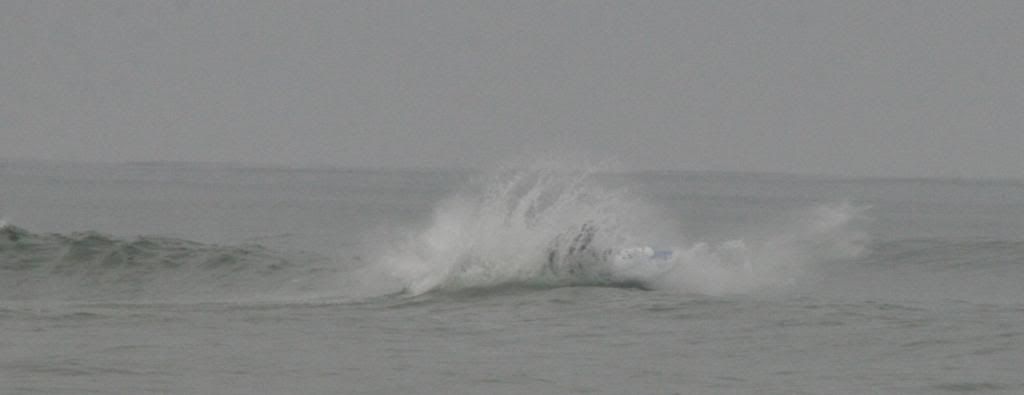 IMG_7037.jpg