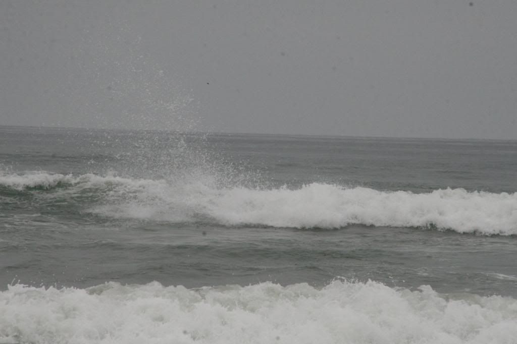 IMG_7107.jpg