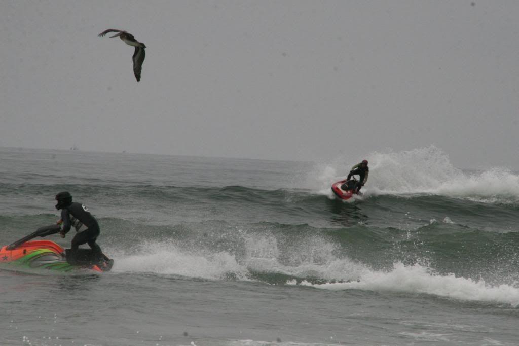 IMG_7178.jpg