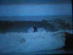 roll.gif