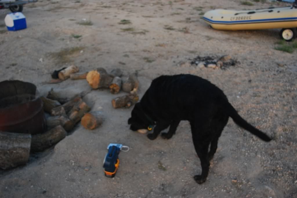 DSC_1627.jpg