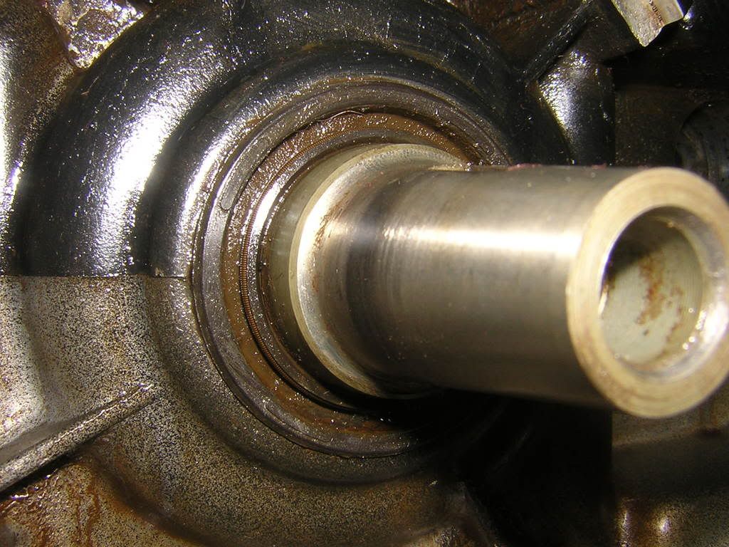 DSCN2746.jpg