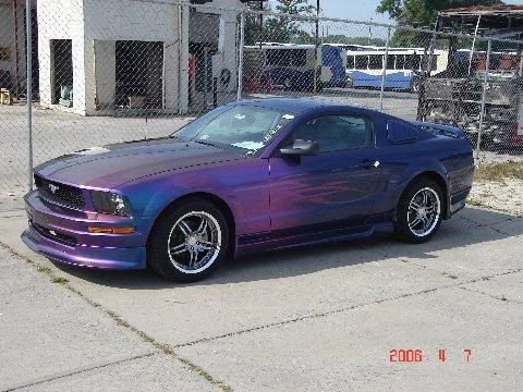 Mustang Purple