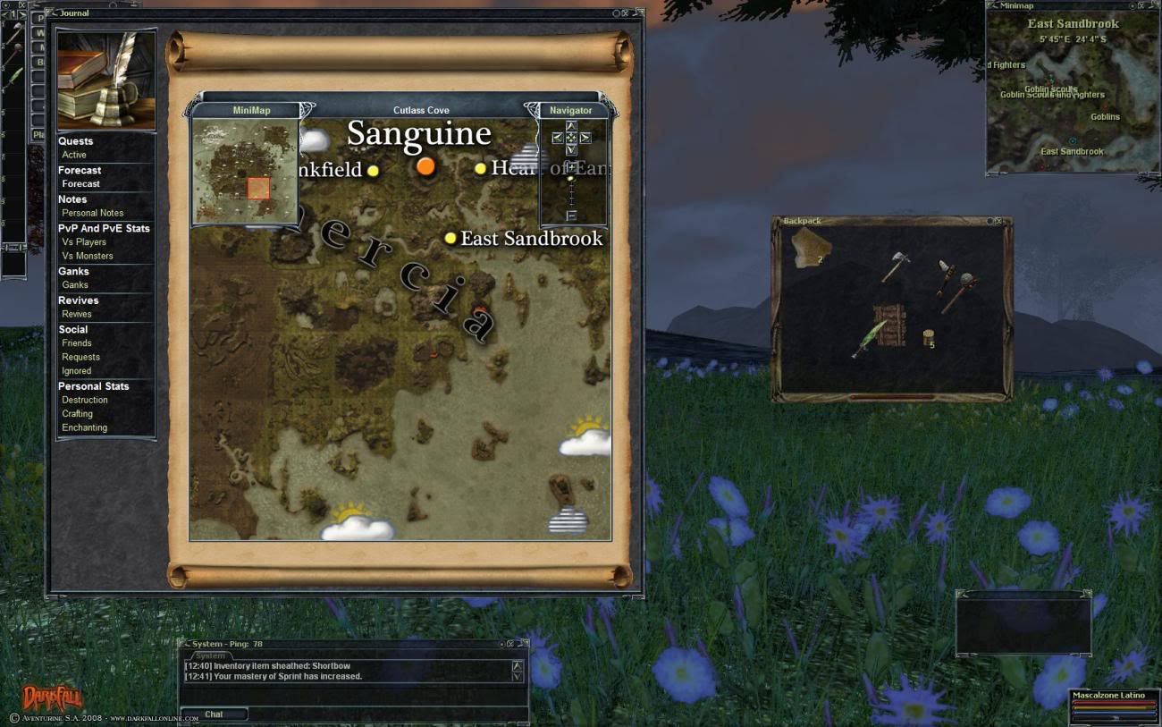 darkfall_02.jpg