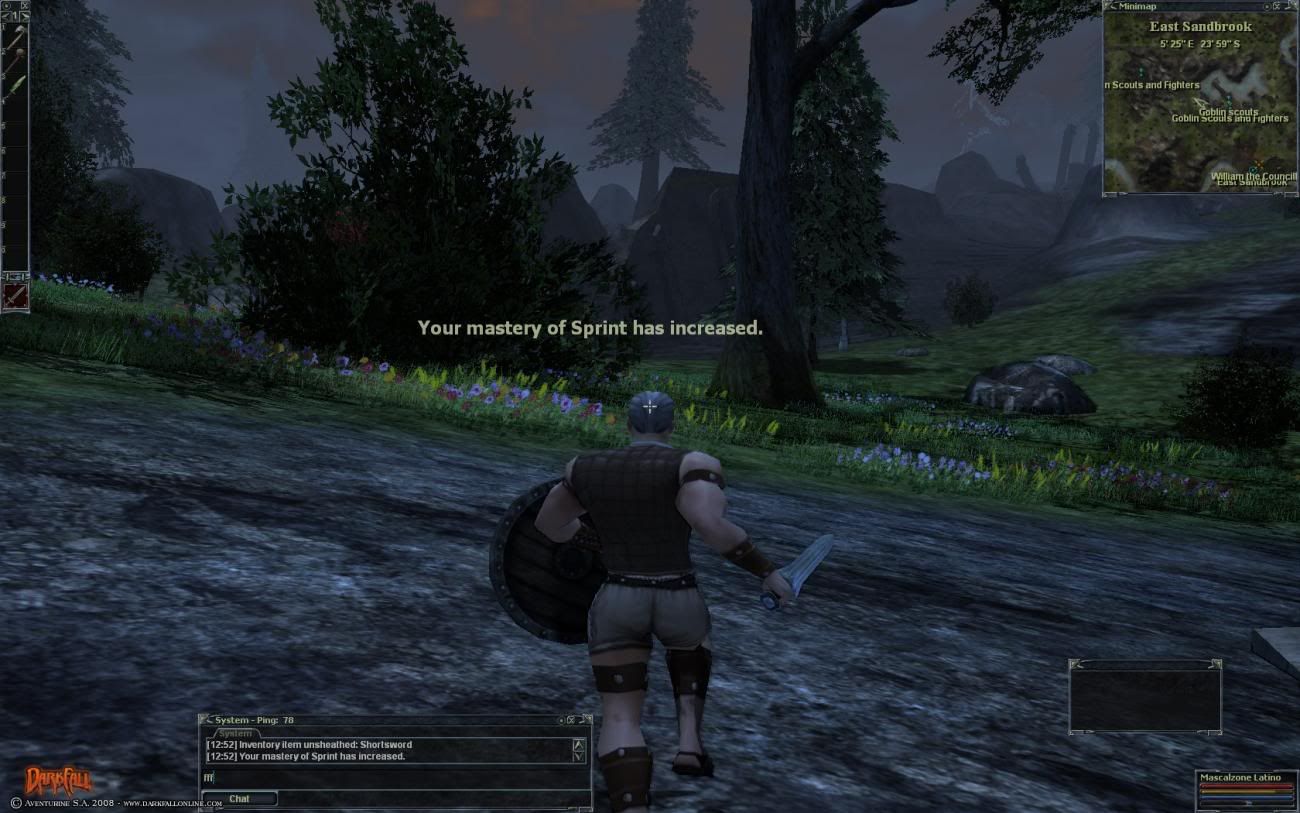 darkfall_03.jpg