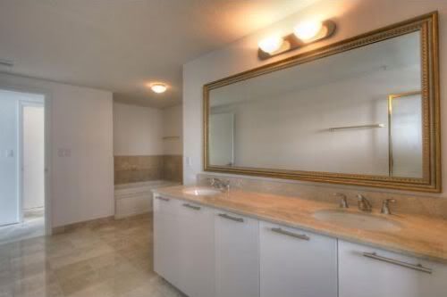 master bathroom with Jacuzzi tub