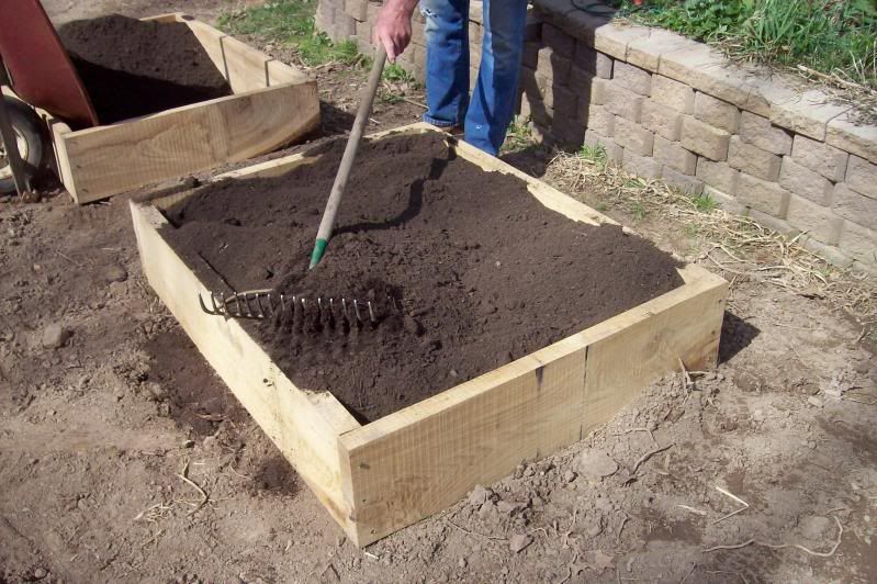 Pictorial of Building my Garden Boxes - Homesteading Questions