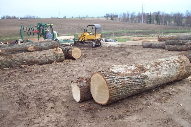 Pictorial of Building my Garden Boxes - Homesteading Questions