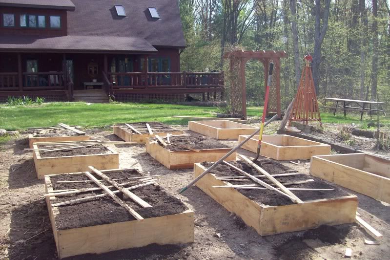 Pictorial of Building my Garden Boxes - Homesteading Questions