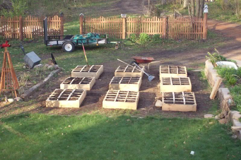 Pictorial of Building my Garden Boxes - Homesteading Questions