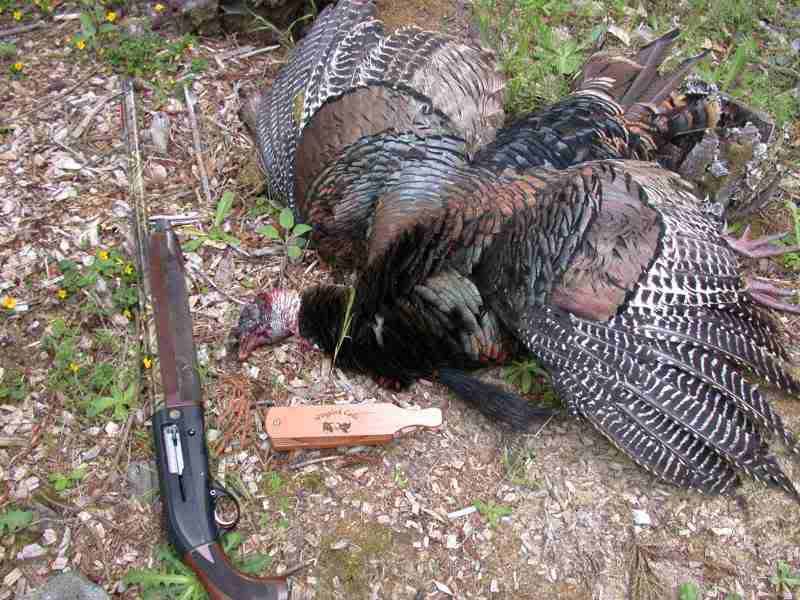 SBE II Turkey choke??? Refuge Forums