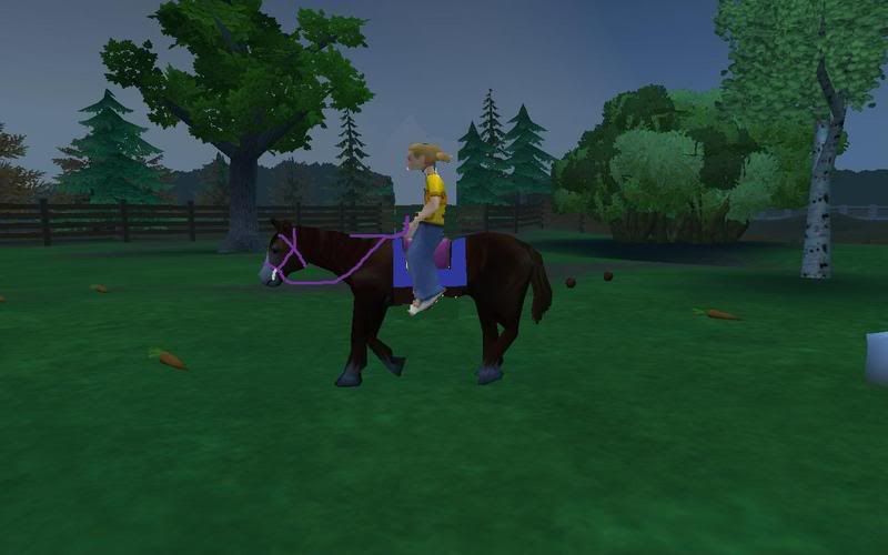 I have to say, this picture is horrible!! I just thought of this idea when I was making some arabian horse stables: