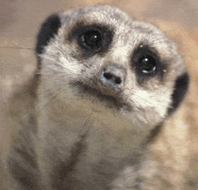 30.gif