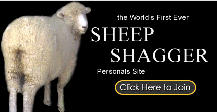 adultsheepfinder.png