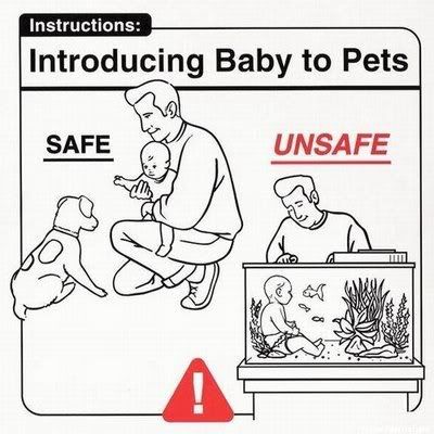 baby4.jpg