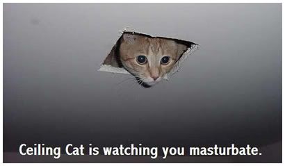 ceiling_cat.jpg