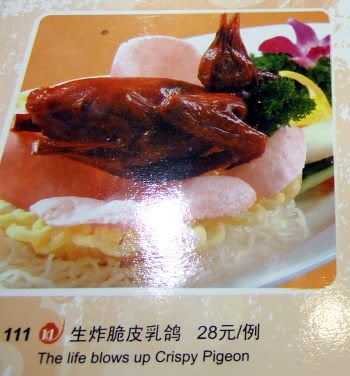 chinglish-pigeon.jpg