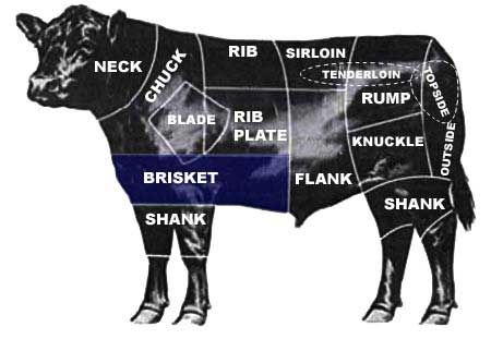 cow_diagram.jpg