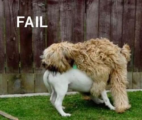 fail.jpg